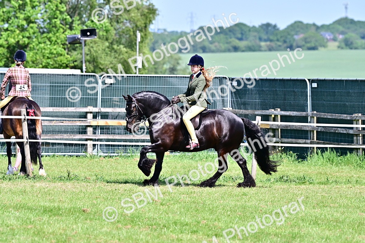 SBM_14000 - Class 95-97 - BSPS LHS Performance Ponies