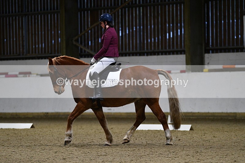 WJ5_8613 - Class 5 Novice Test 3
