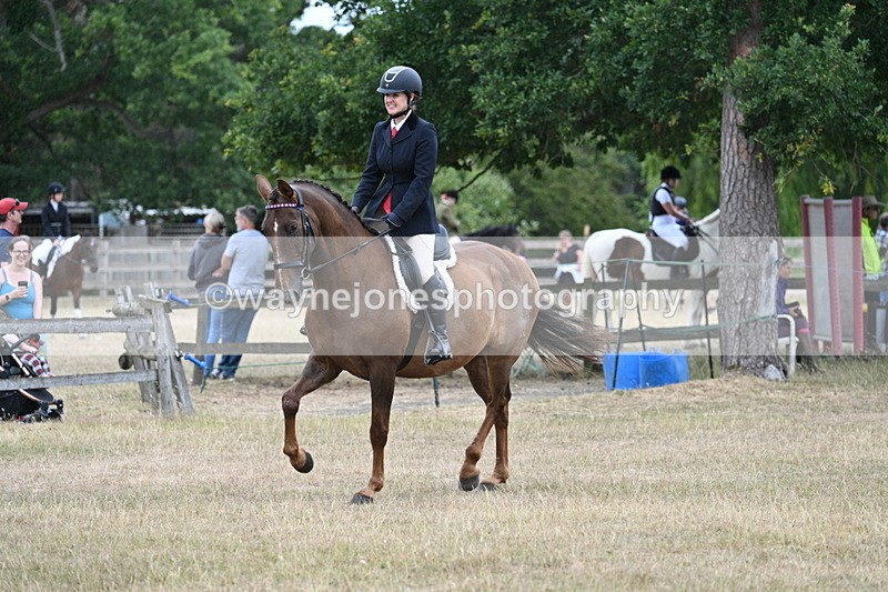 WJ7_0852 - Class 7 Riding Club Show Horse