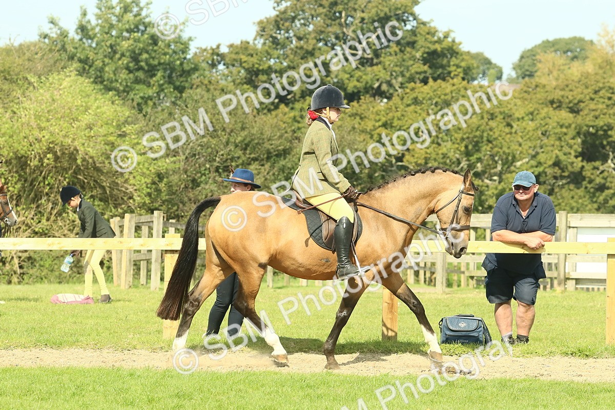 SBM_67405 - S56 - Coloured Pony Ridden