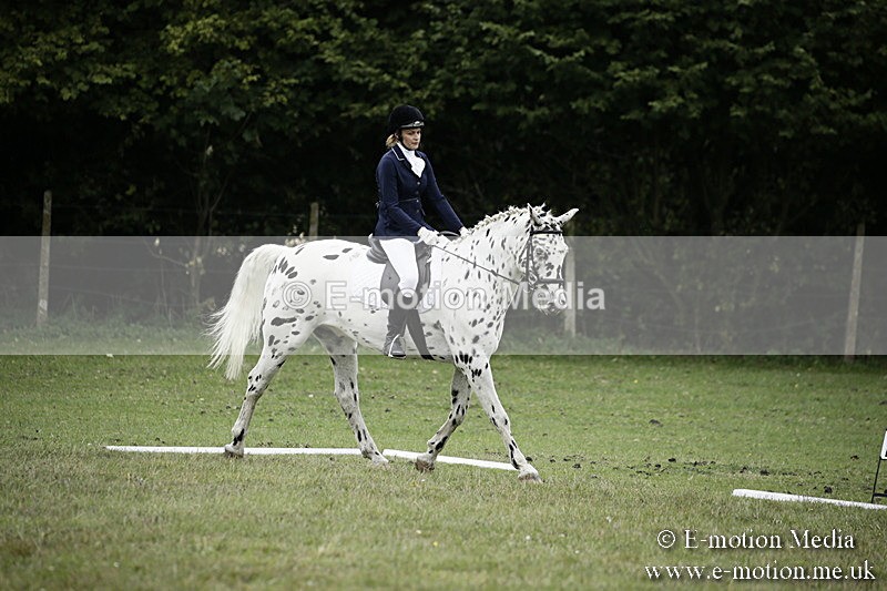 BVR080918 280 - BVRC Novice Dressage & CR 08/09/18