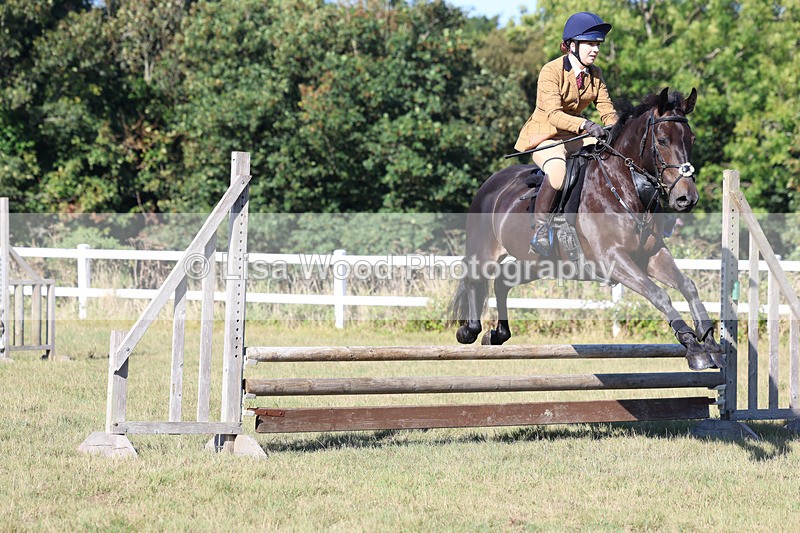 3E7A5486 - Class 3: Working Hunter 70cm