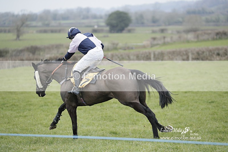 PtP 050323 497 - Blackmore & Sparkford Vale Hunt PtP - Somerset 05/03/23