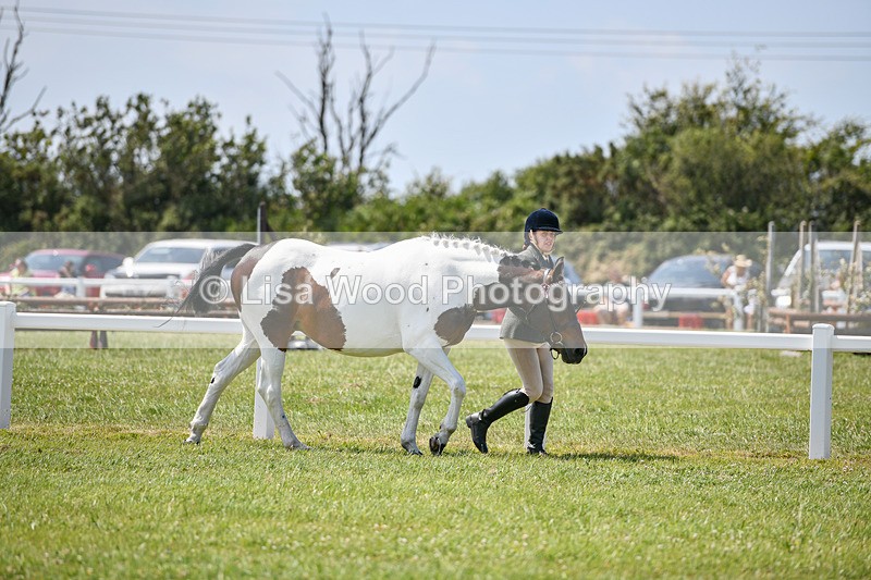 DSC_7817 - Class 65: Coloured Horse 4yrs & Over