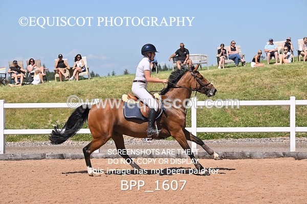 BPP_1607 - THU CLASS 3 Scottish Branch North West Junior Championship **Viewing/Selection class for 148 teams**