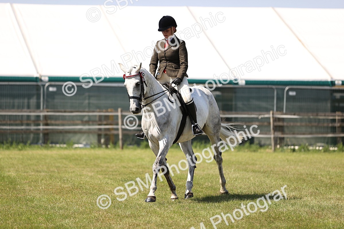 SBM_18004 - Class 81-83 - TSR Ridden Amateur of the Year - Horses