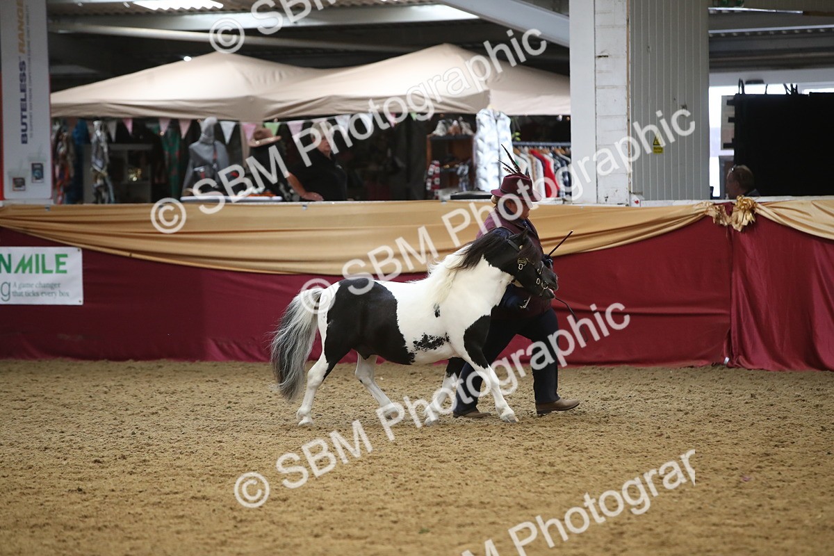 SBM_05721 - Class 9R - Regional IH Pre-Vet