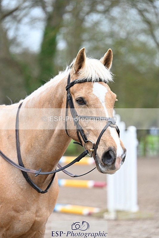 240411-121646-00393 - Group 6 SJ