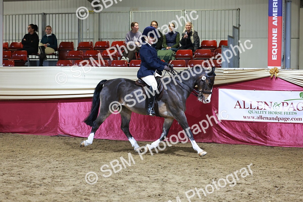 SBM_21360 - Class T - Working Veteran Champs