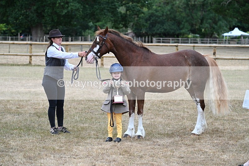 WJ7_9367 - Prettiest Mare Champs