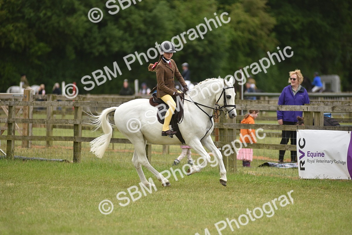 SBM_12003 - Class 110-112 - LIHS BSPS Performance Pones