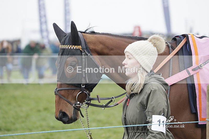 PtP 050323 761 - Blackmore & Sparkford Vale Hunt PtP - Somerset 05/03/23