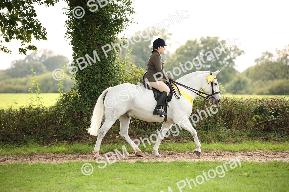 SBM_73620 - Ridden Horse Supreme Championship