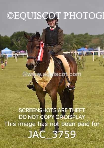 JAC_3759 - 75CM WORKING HUNTER