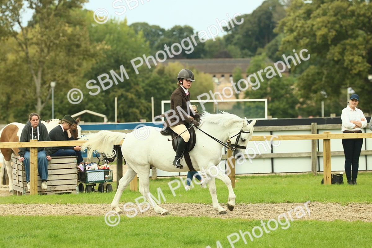 SBM_71978 - S60 - Mountain & Moorland Ridden Large Breeds