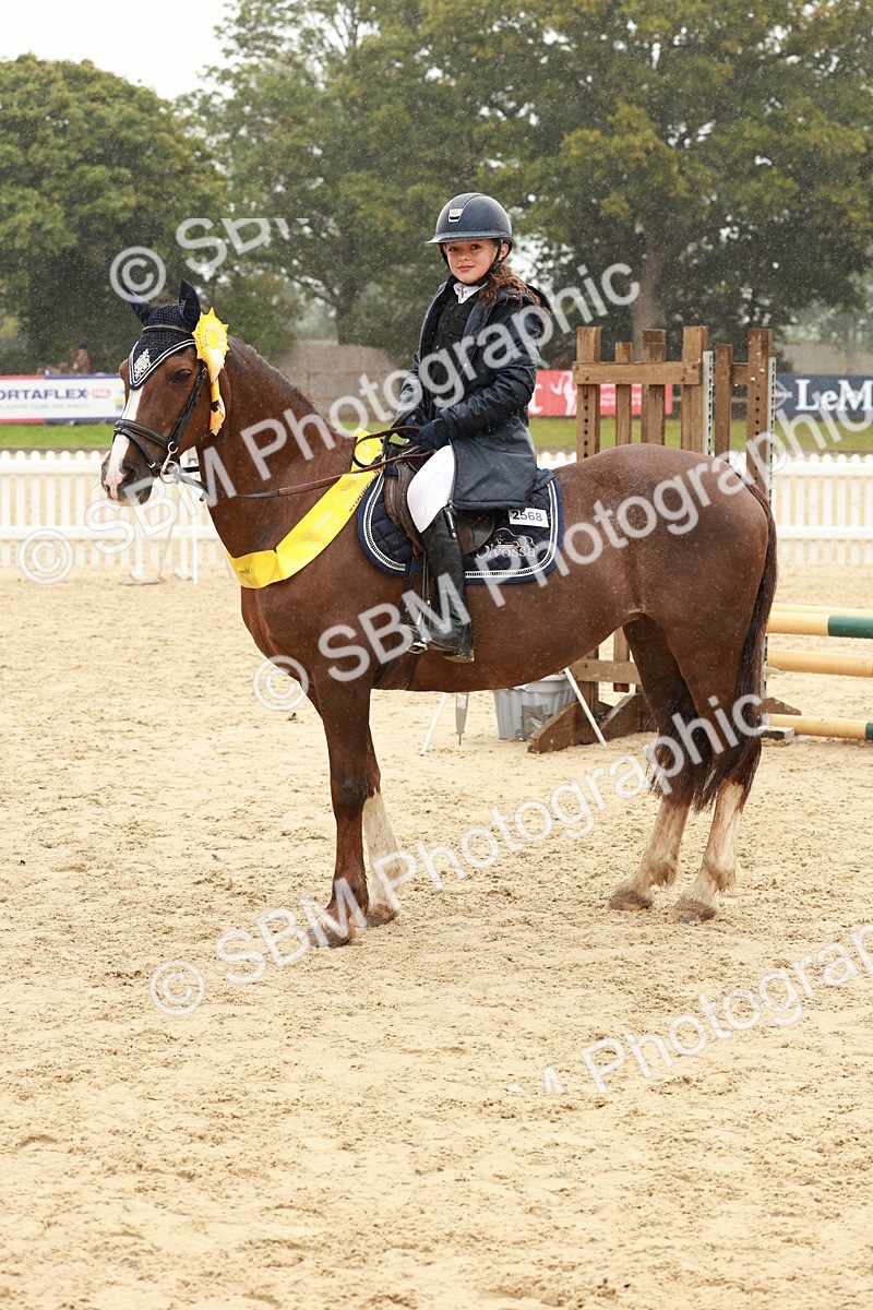 SBM_72220 - J14 - Junior Pony 65cm Championship