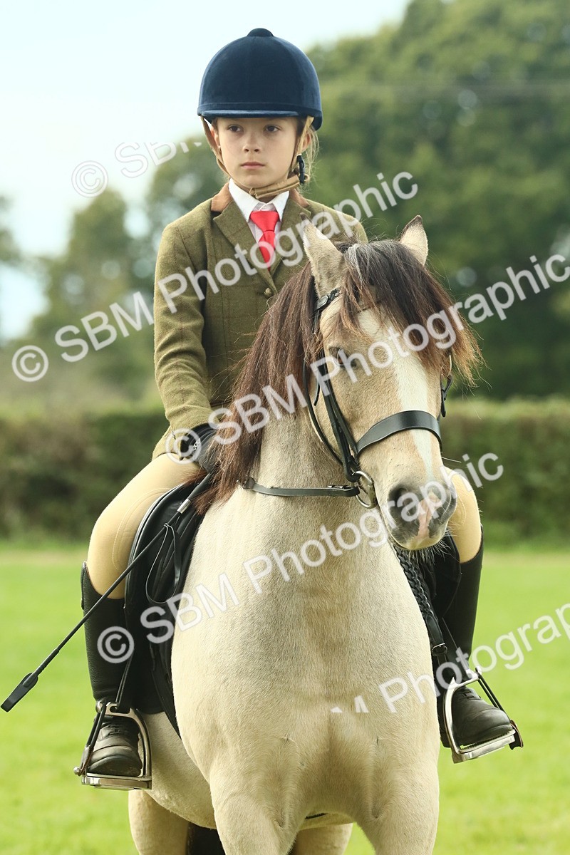 SBM_69998 - S59 - Mountain & Moorland Ridden Small Breeds