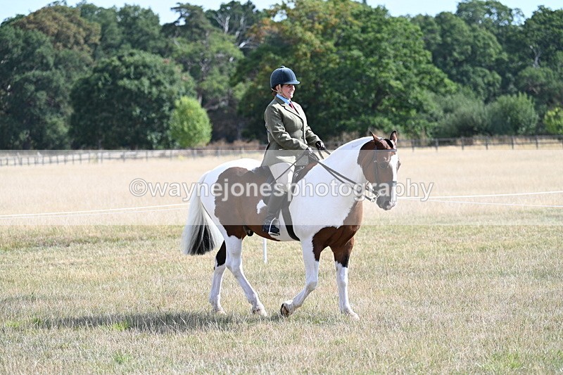 WJ7_2698 - Class 8 Ridden Tack & Turnout
