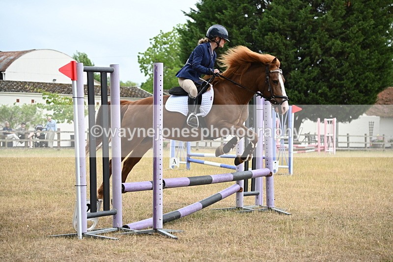 WJ6_0199 - Class 13 Novice Jumping 60cm