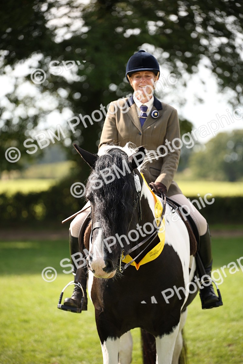 SBM_70149 - S65 - Piebald & Skewbald Horse Ridden