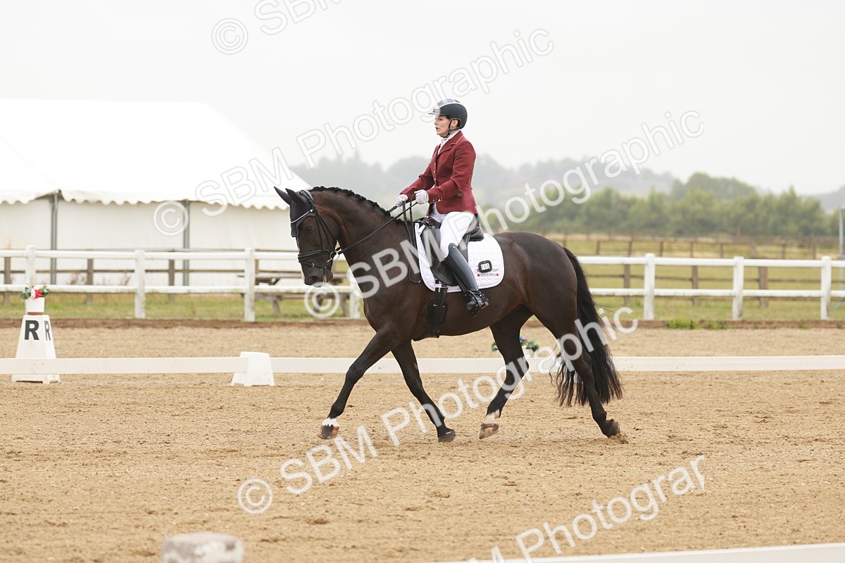 SBM_010022 - Class 11 - Elementary 6 - 12.40-13.36