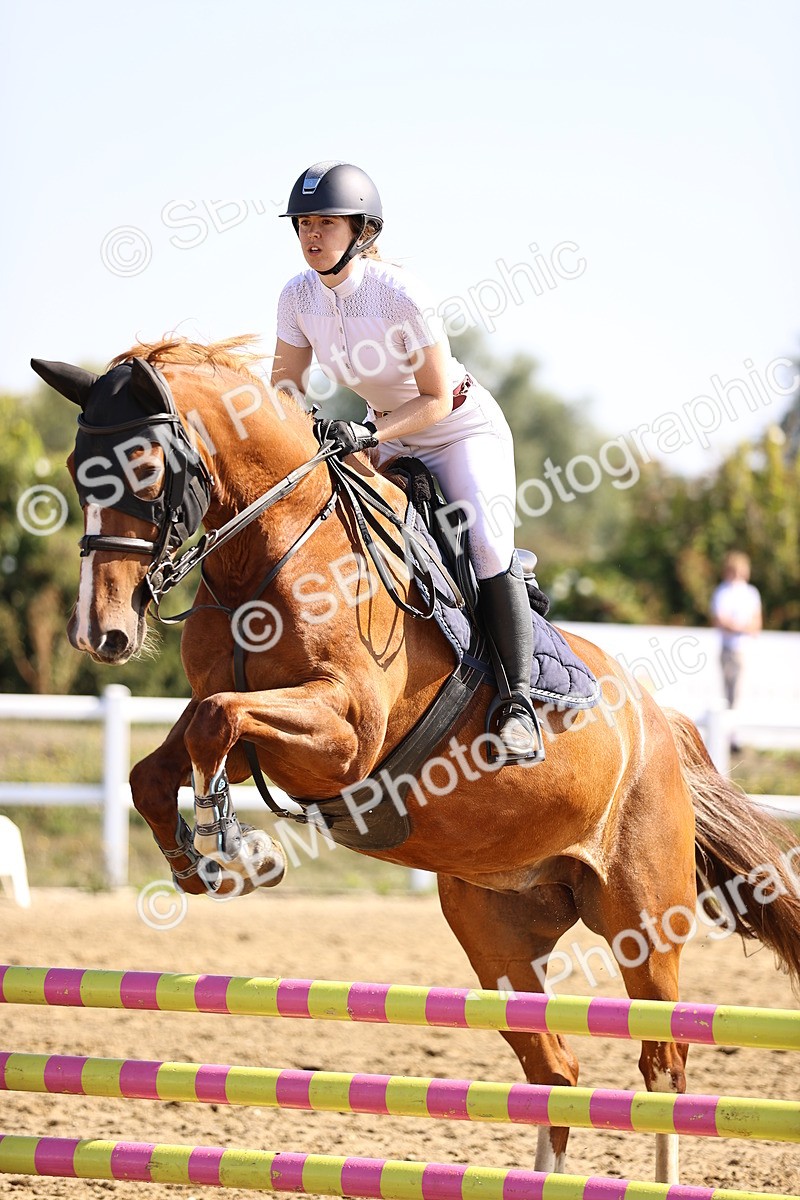 SBM_005638 - Class 9 - Senior British Novice - 90cm