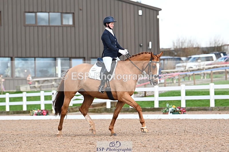 240218A-130301-07396 - 203-Ashley.Edmond-Sir.Suave.II