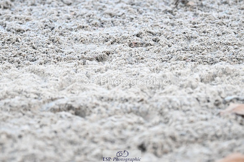 231110-154958-02349 - Cls 11 FEI PSG