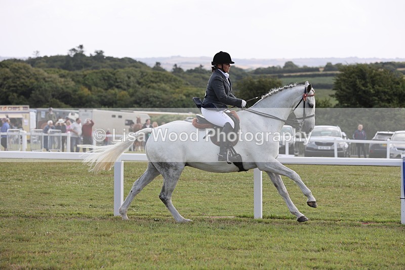 JPP_1480 - Class 17: Cornish Combination Open