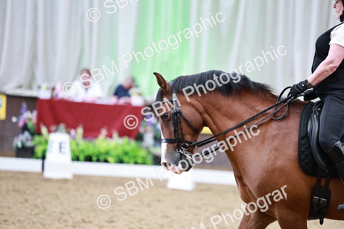 SBM_014351 - Class 7 - Ele FSM Bronze  13.24.14.04