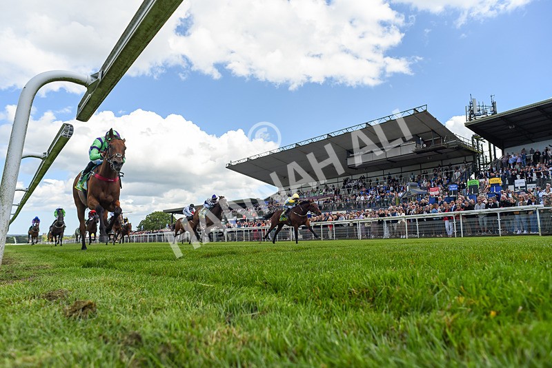 080624-Race 4-Billyb-0528 - Race 4