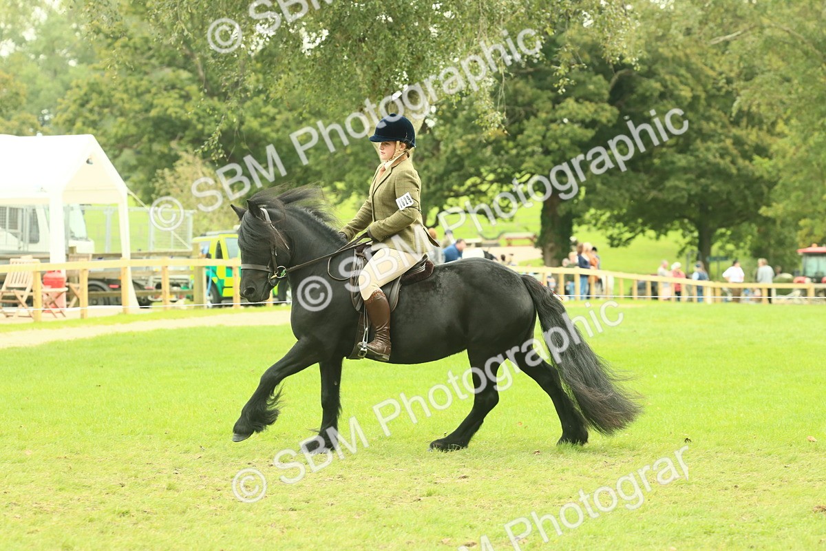 SBM_71929 - S60 - Mountain & Moorland Ridden Large Breeds