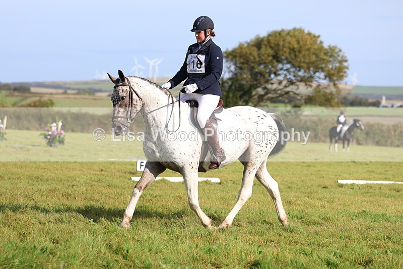 3E7A6009 - Class 1: Trebudannon Open: Dressage (Part 2)