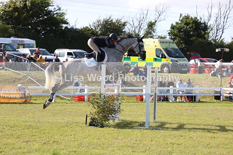 3E7A4410 - Class C: Showjumping Senior Foxhunter