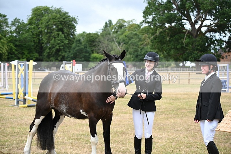 WJ6_4473 - Class 10 Coloured In-hand