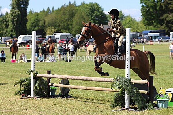 IMG_3633 - Working Hunter