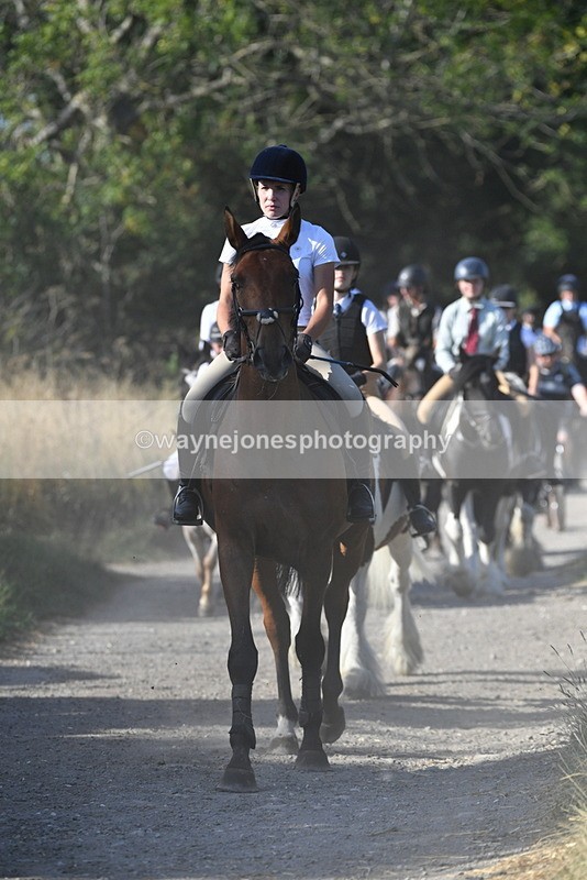 WJ5_4942 - Walk out with the hounds
