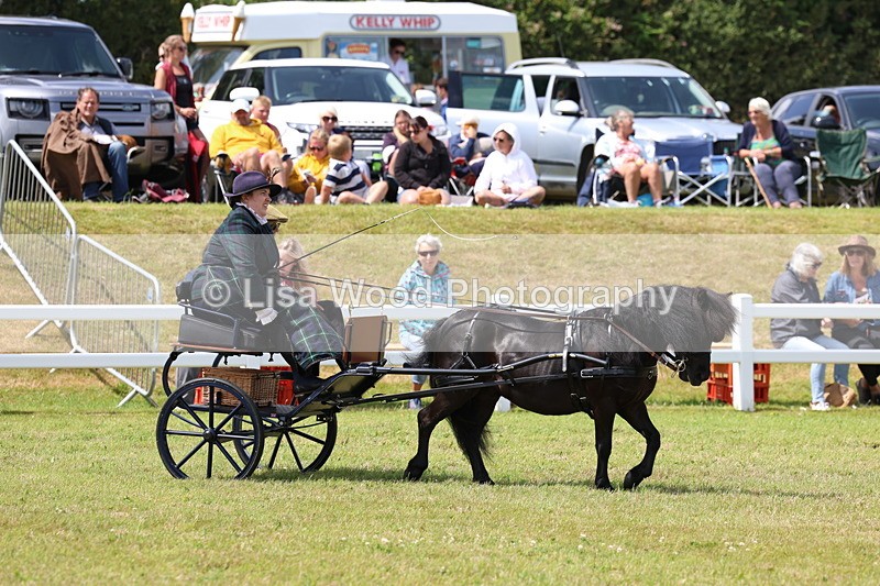 3E7A2640 - Class 12: Open Driving