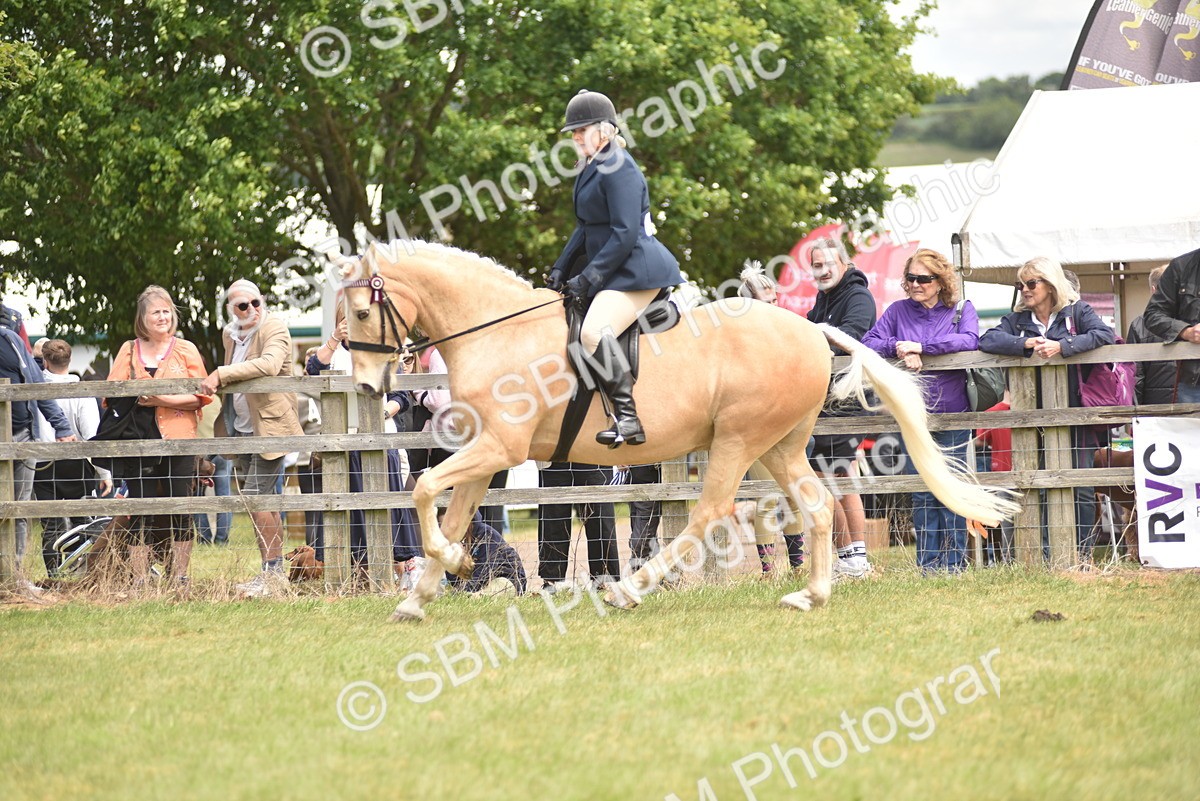 SBM_15832 - Class 115-116 - SSADL Home Produced Members Qualifier