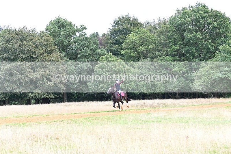 DSC_8763 - Time at Statue 14:33 to 15:10