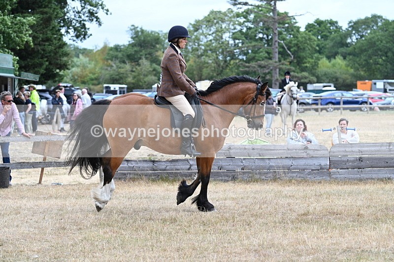 WJ7_0545 - Class 6 Ridden Mountain and Moorland