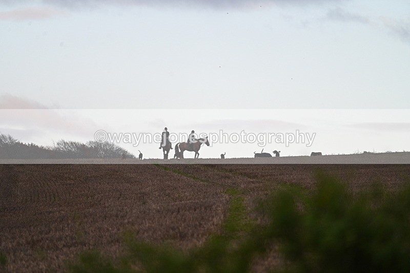 WJ7_9783 - Camera 1 & Last fence