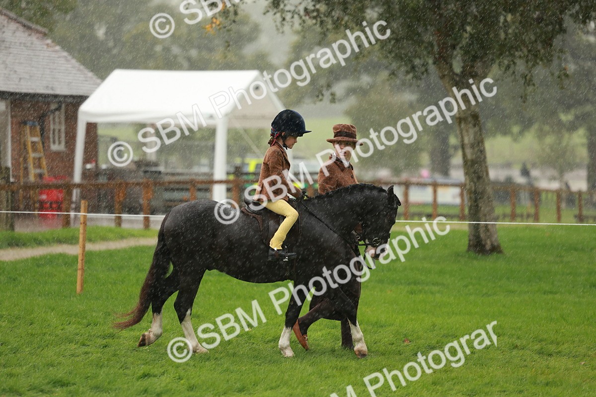 SBM_33651 - S9 - Lead Rein Equitation