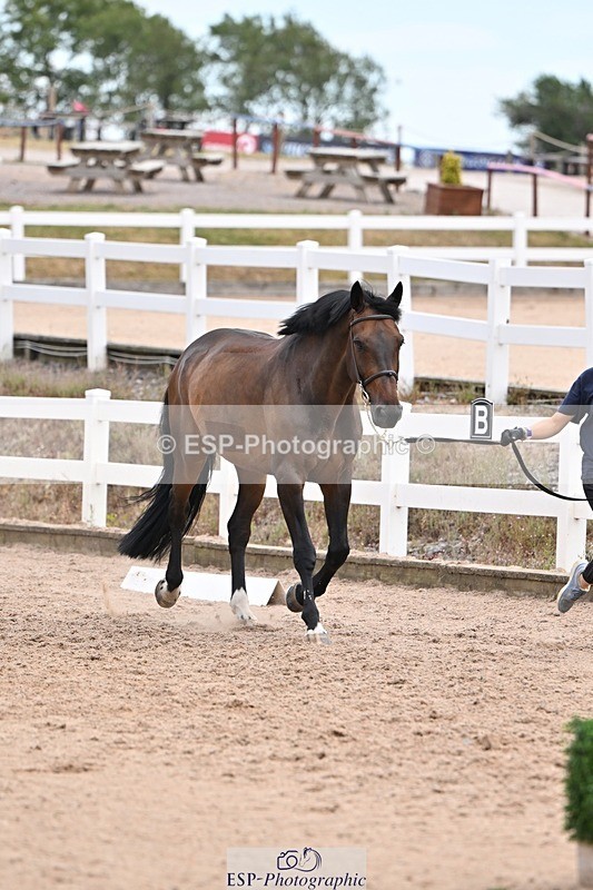 250716-135902-00838 - Trot Up 1.30 to 2.30