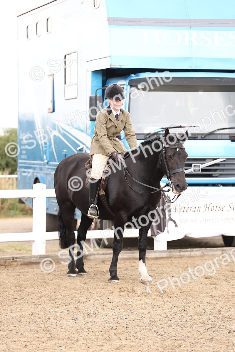 SBM_02918 - Class 53 - Ridden Competition Horse/Pony
