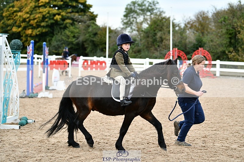 241013B-101817-00341 - Cls 2c 40cm Lead Rein