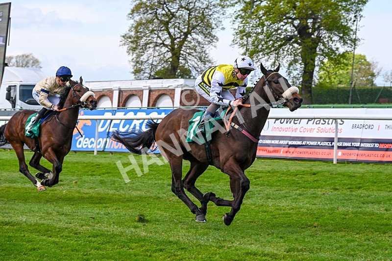 020526-Race 1-Arapaho Gold-8931 - Race 1 1.35pm Steve Poskitt's 60th Birthday Restricted Maiden Stakes