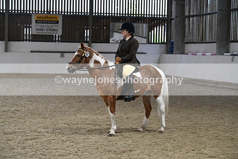 WJ7_3696 - Class 16 Ridden Coloured/ Odd Coloured