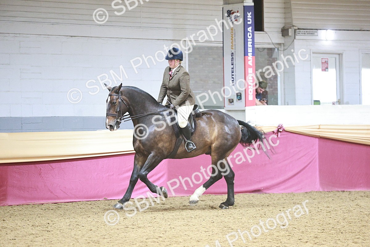 SBM_08857 - Class 12R - Regional Ridden Pre-Vet