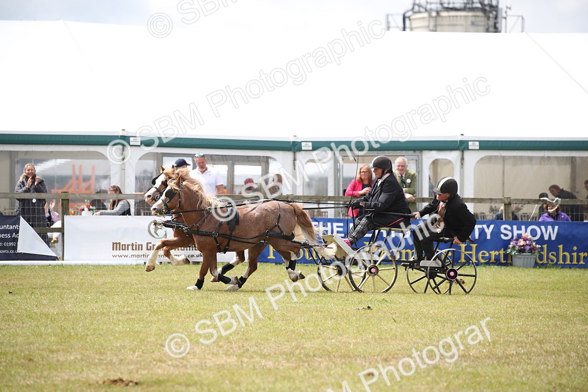 SBM_15517 - Class 90 - Scurry 122cm and Under